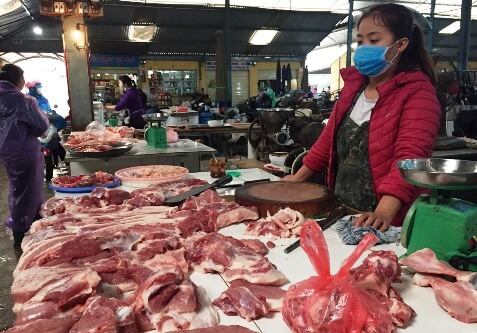 Thị trường thịt lợn trong nước chịu sức ép từ nhiều phía